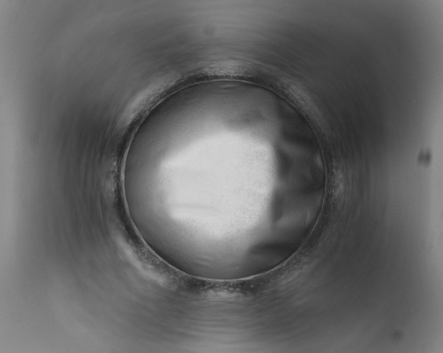 X0000110670586200906261259