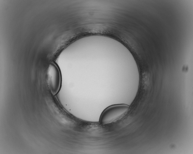 X0000110670589200906261259