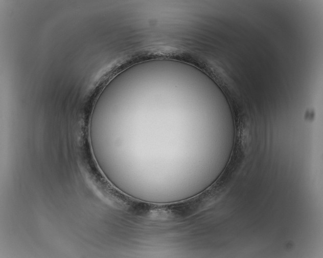 X0000110670591200906261259