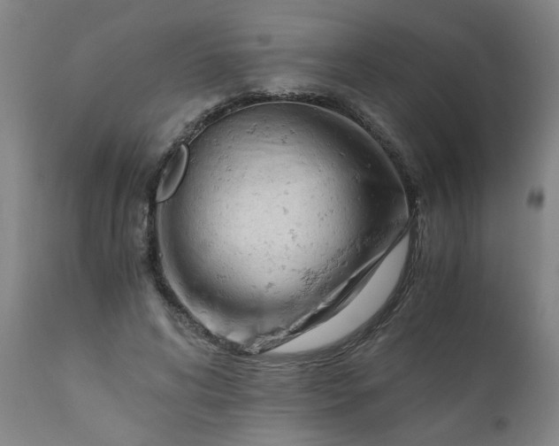 X0000110670592200906261259