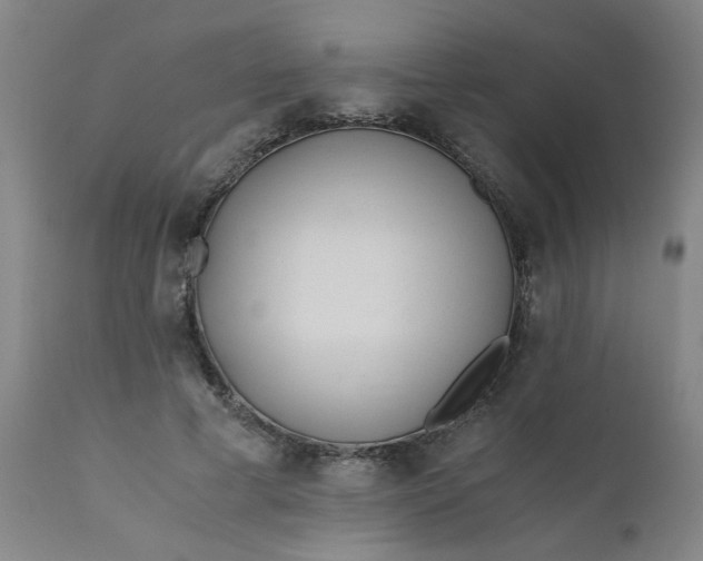 X0000110670593200906261259
