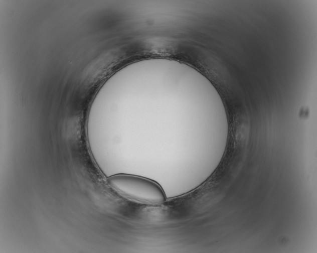 X0000110670595200906261259