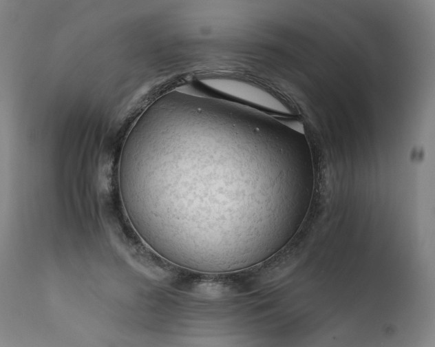 X0000110670596200906261259
