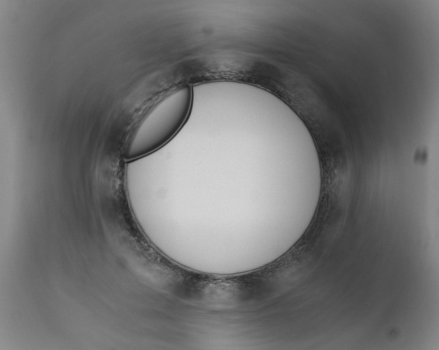X0000110670599200906261259