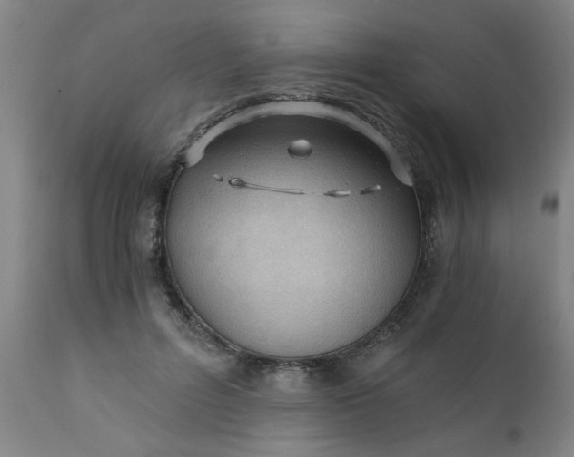 X0000110670600200906261259