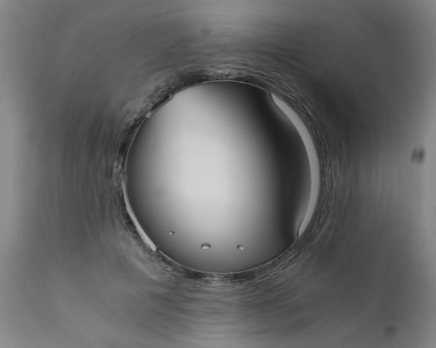 X0000110670601200906261259