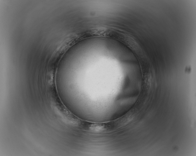 X0000110670602200906261259