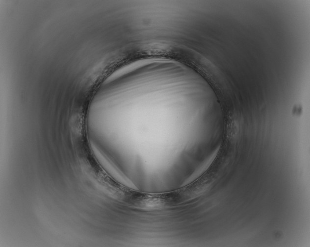 X0000110670604200906261259