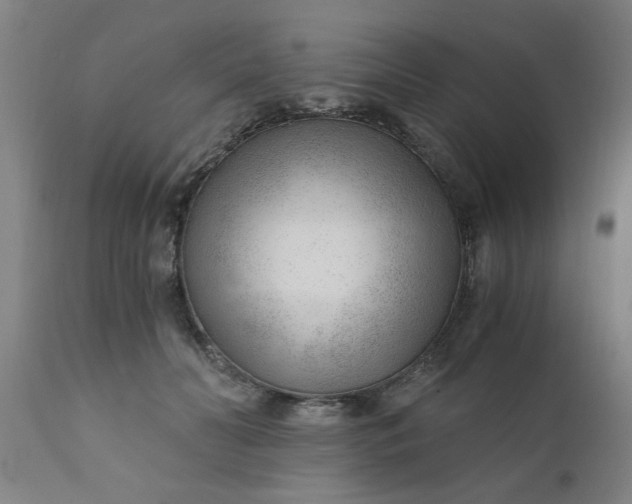 X0000110670606200906261259