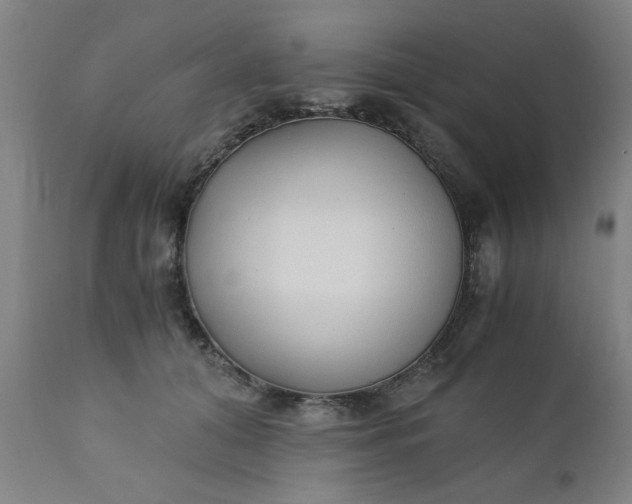 X0000110670608200906261259