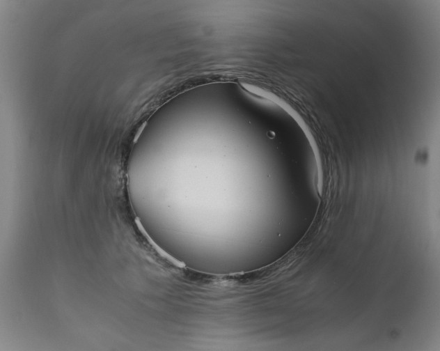 X0000110670609200906261259