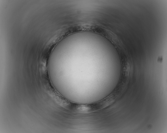 X0000110670610200906261259