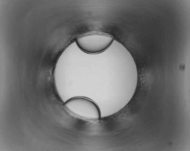 X0000110670611200906261259