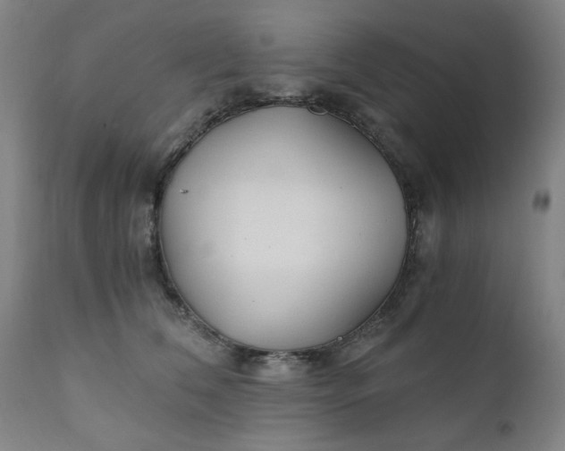 X0000110670612200906261259