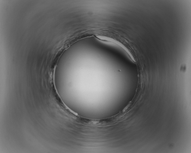 X0000110670613200906261259