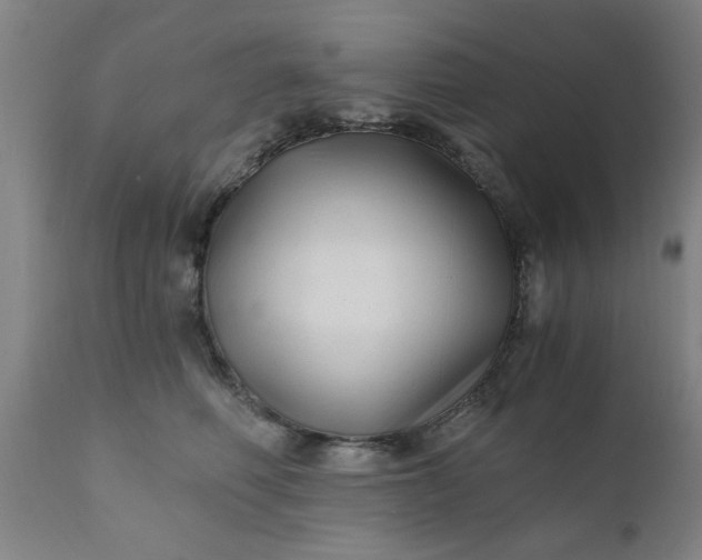 X0000110670614200906261259