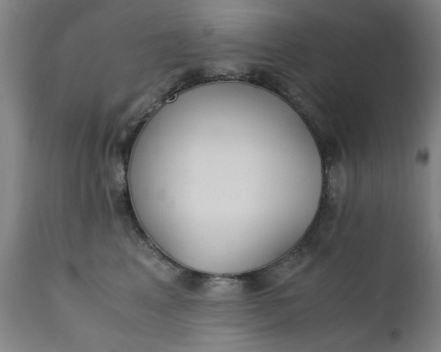 X0000110670617200906261259