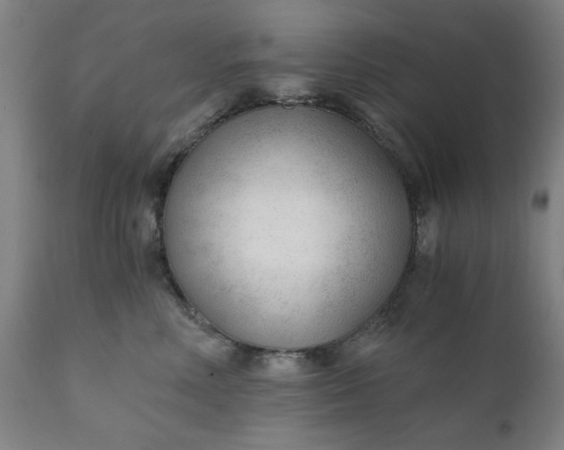 X0000110670618200906261259