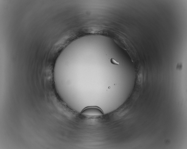 X0000110670620200906261259