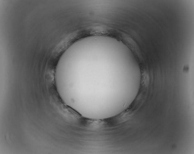 X0000110670621200906261258