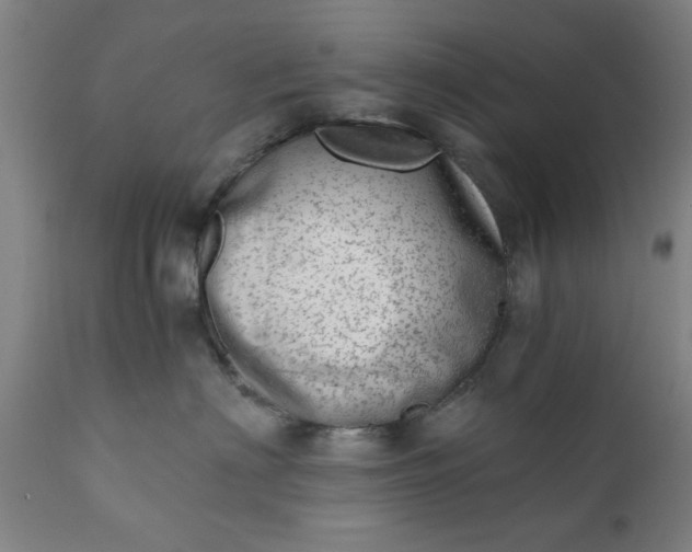 X0000110670622200906261258