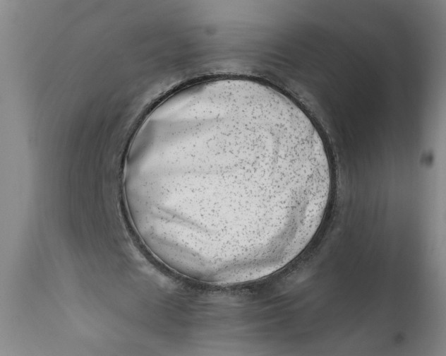 X0000110670625200906261258