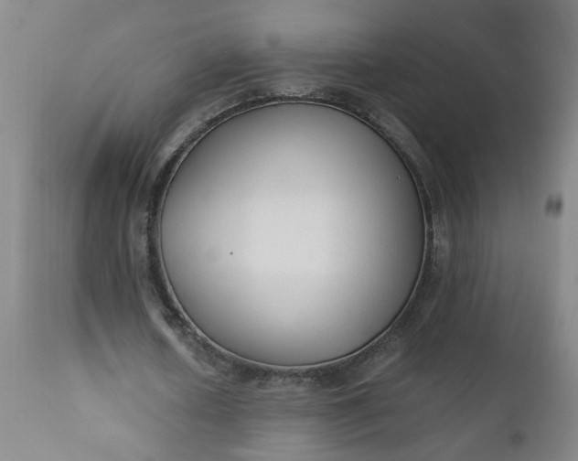 X0000110670626200906261258