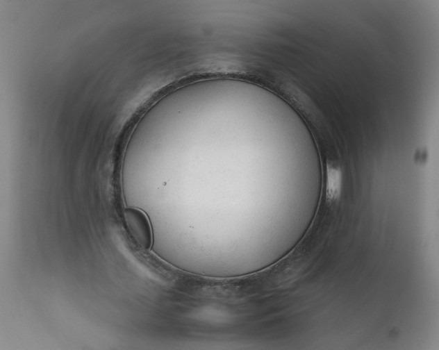 X0000110670627200906261258