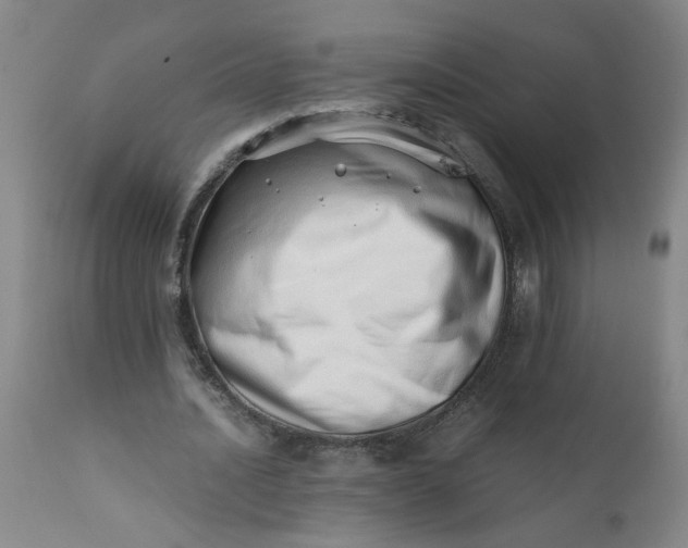 X0000110670628200906261258