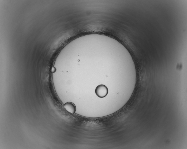 X0000110670635200906261258