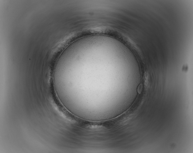 X0000110670637200906261258