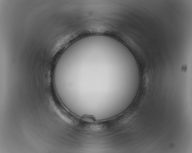 X0000110670638200906261258