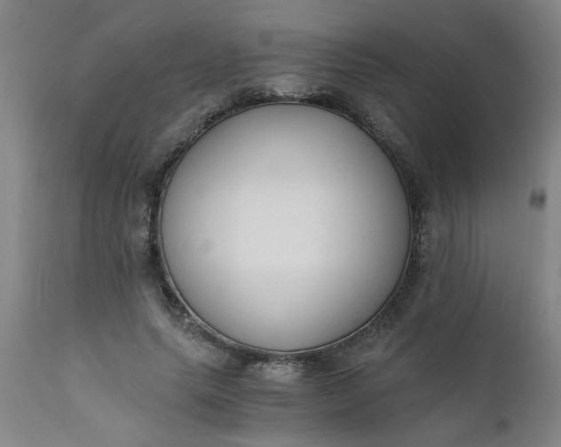 X0000110670639200906261258