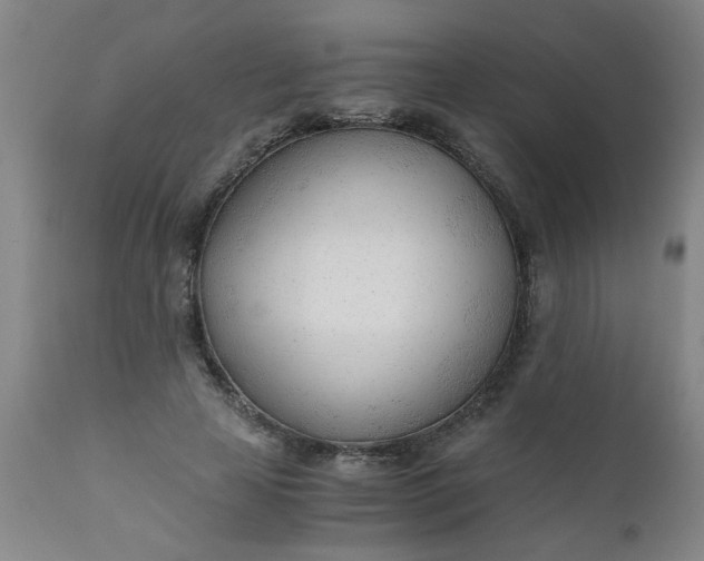 X0000110670641200906261258