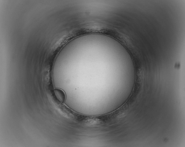 X0000110670642200906261258