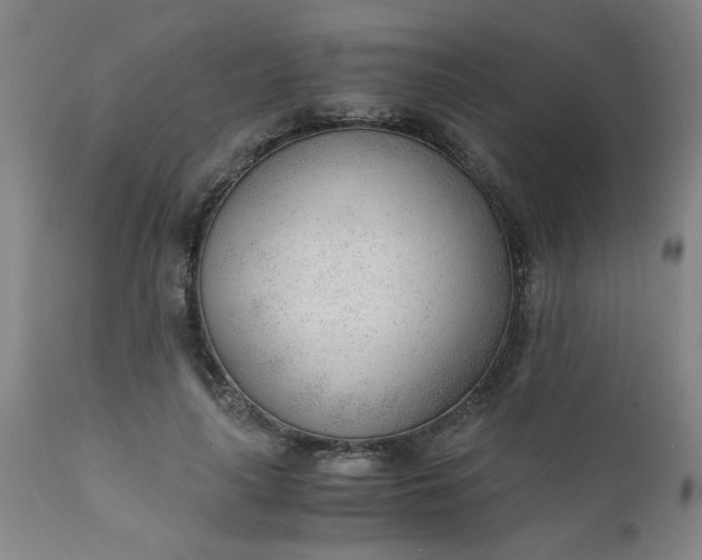 X0000110670643200906261258