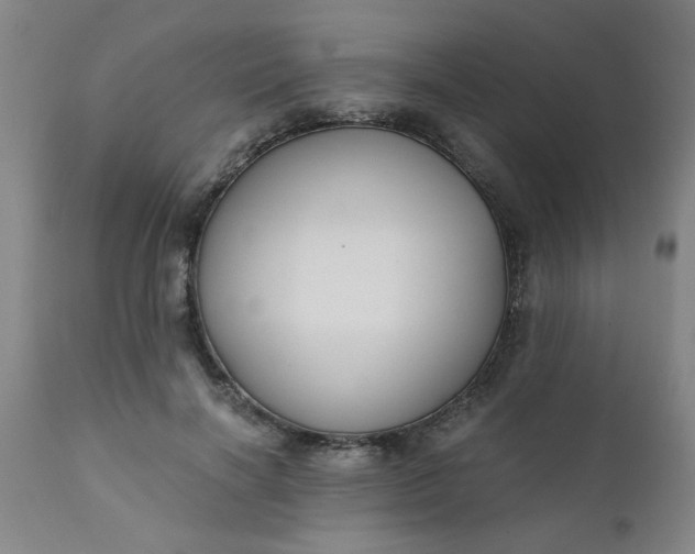 X0000110670646200906261258