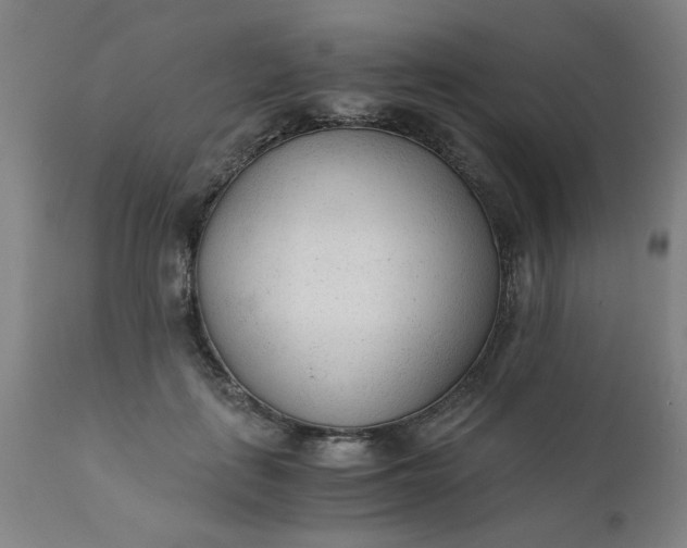 X0000110670651200906261258