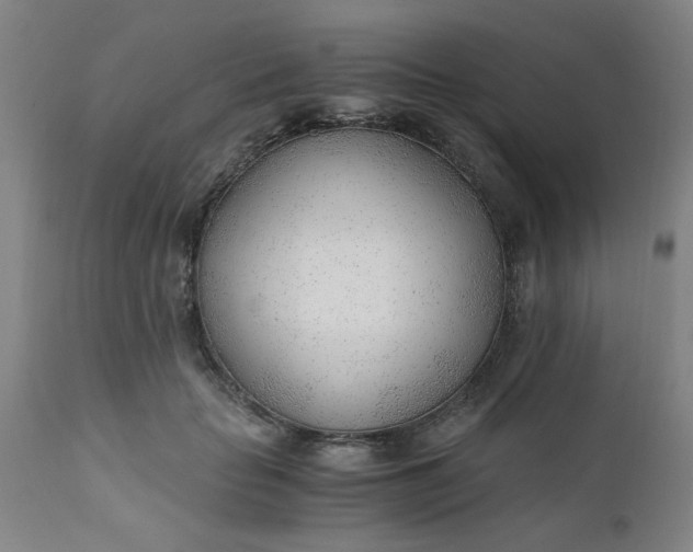 X0000110670653200906261258