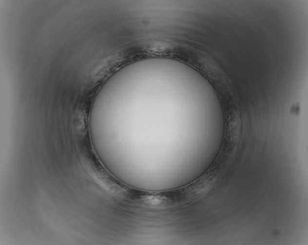X0000110670654200906261258