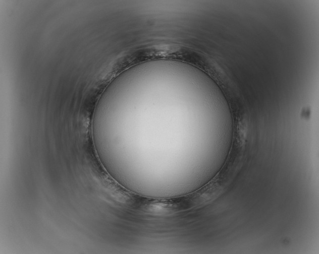 X0000110670657200906261258
