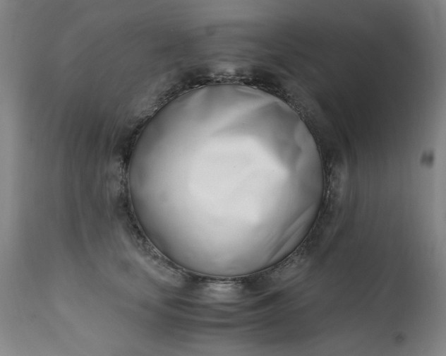 X0000110670659200906261258