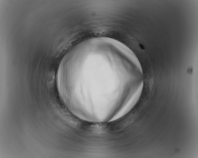 X0000110670660200906261258