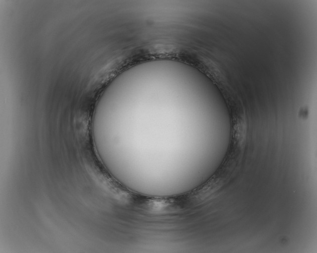 X0000110670662200906261258