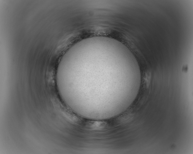 X0000110670663200906261258