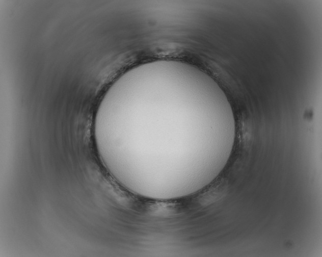 X0000110670664200906261258