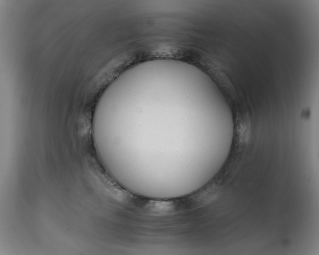 X0000110670665200906261258