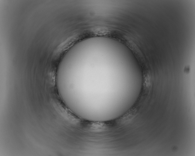 X0000110670666200906261258