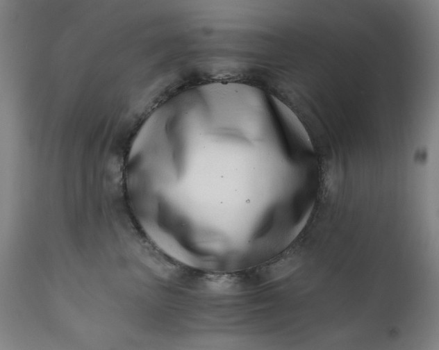 X0000110670667200906261258
