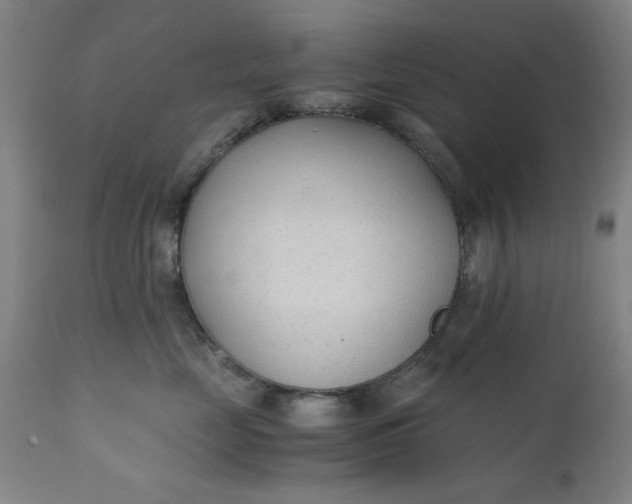 X0000110670669200906261258